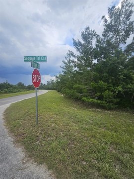 Land - OCKLAWAHA, FL