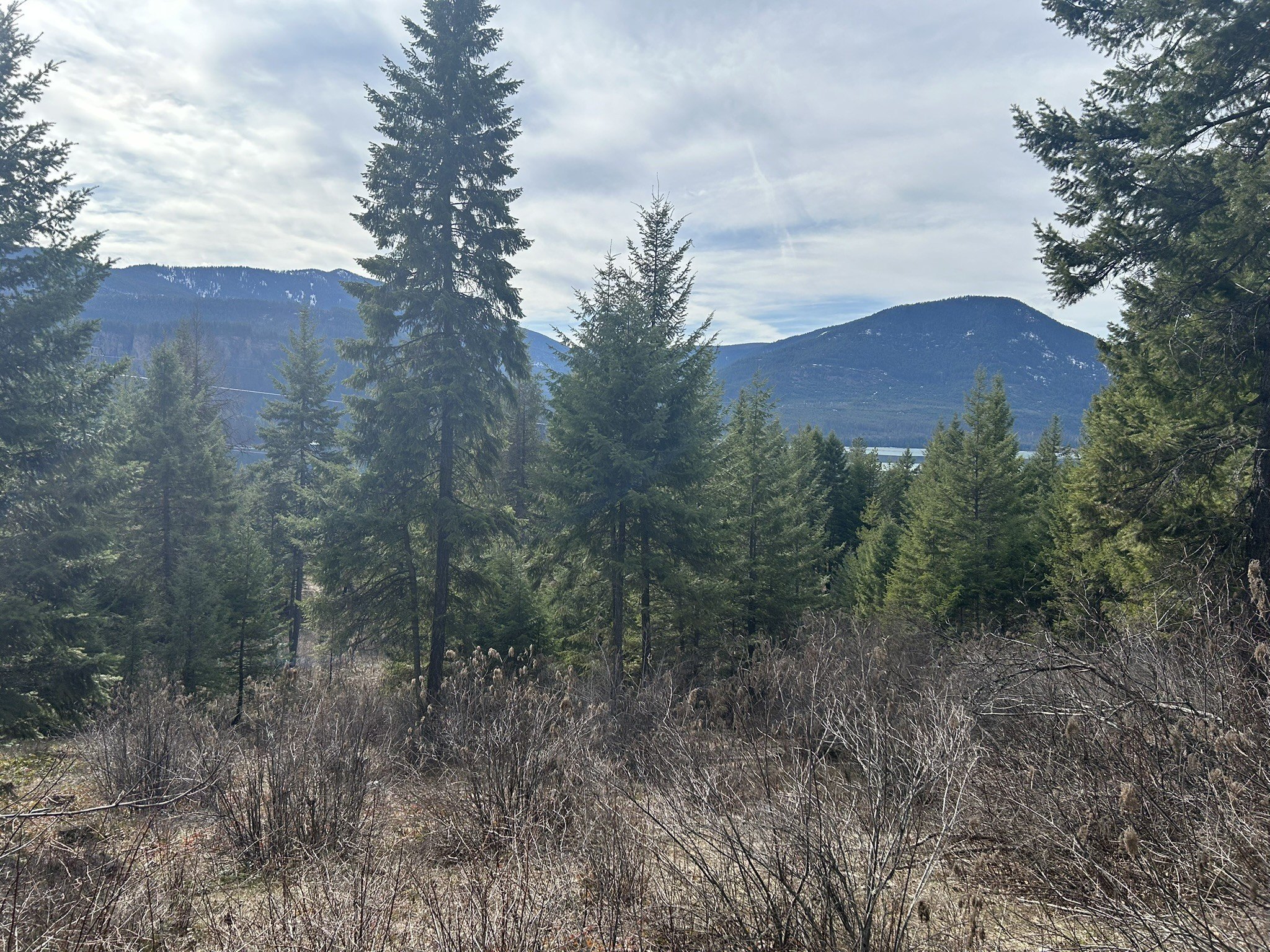 Noxon Land with Reservoir Views