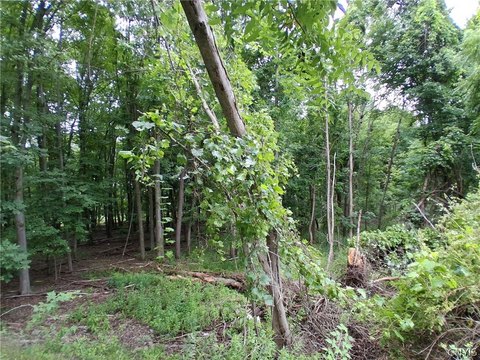 LAND - Endicott, NY