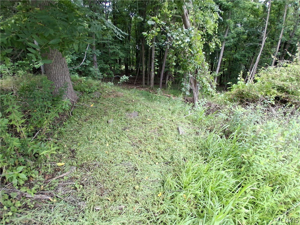 Picture 3