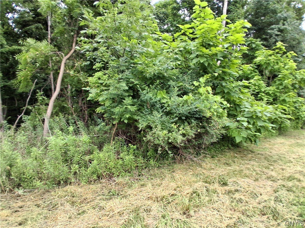 Picture 4