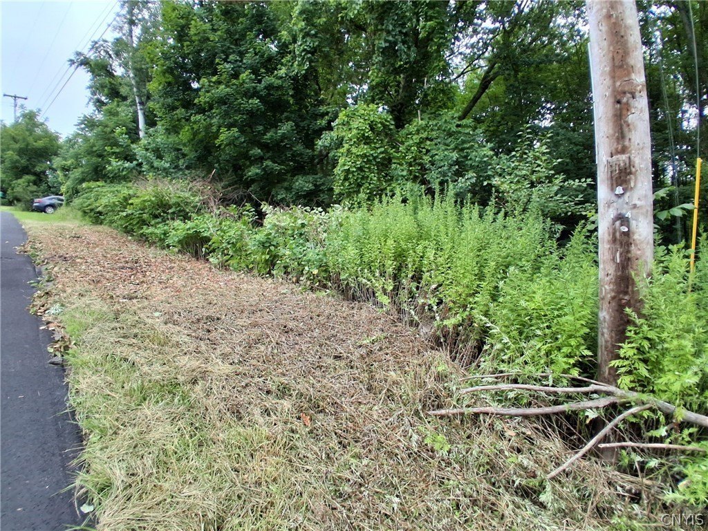 Picture 7