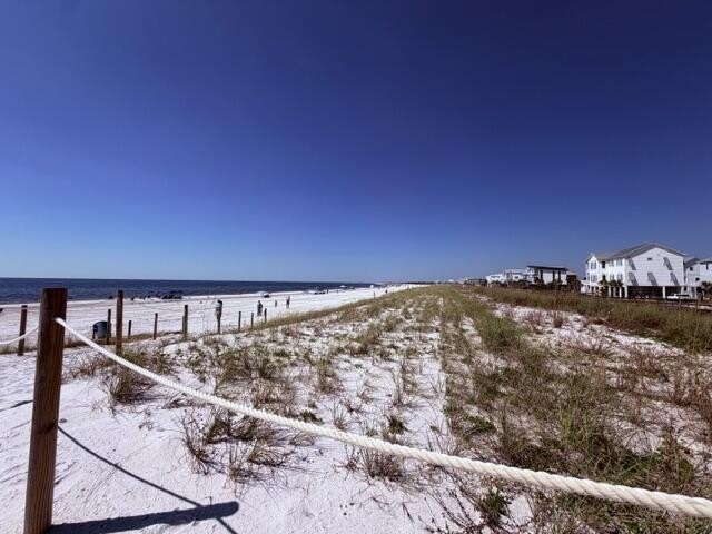 Picture 8