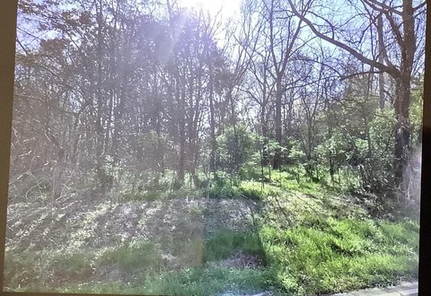 Land in Ringgold, Georgia