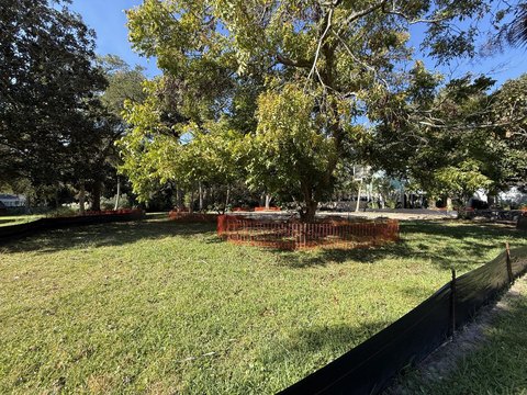 Half-Acre Homesite, Isle of Palms