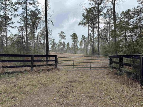 Lakefront Acreage in Pineland, Texas