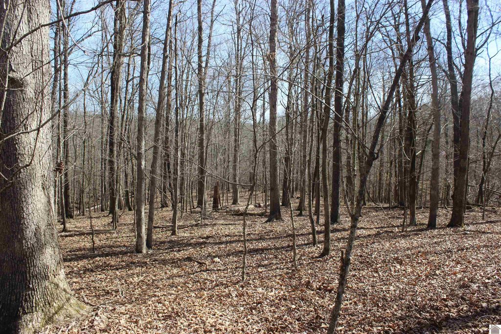 Picture 30