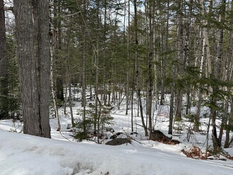 Land, Carrabassett Valley, ME