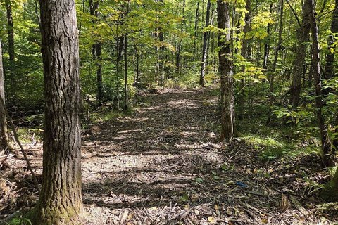 Land, Crandon, WI