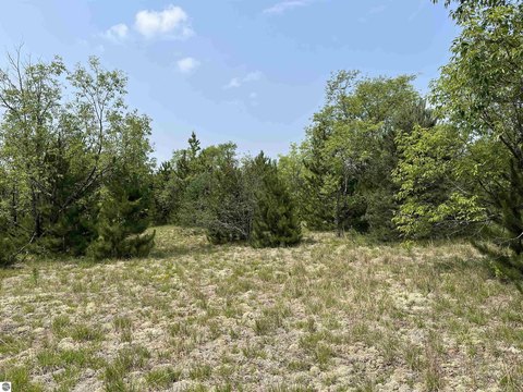 LAND - Mancelona, MI