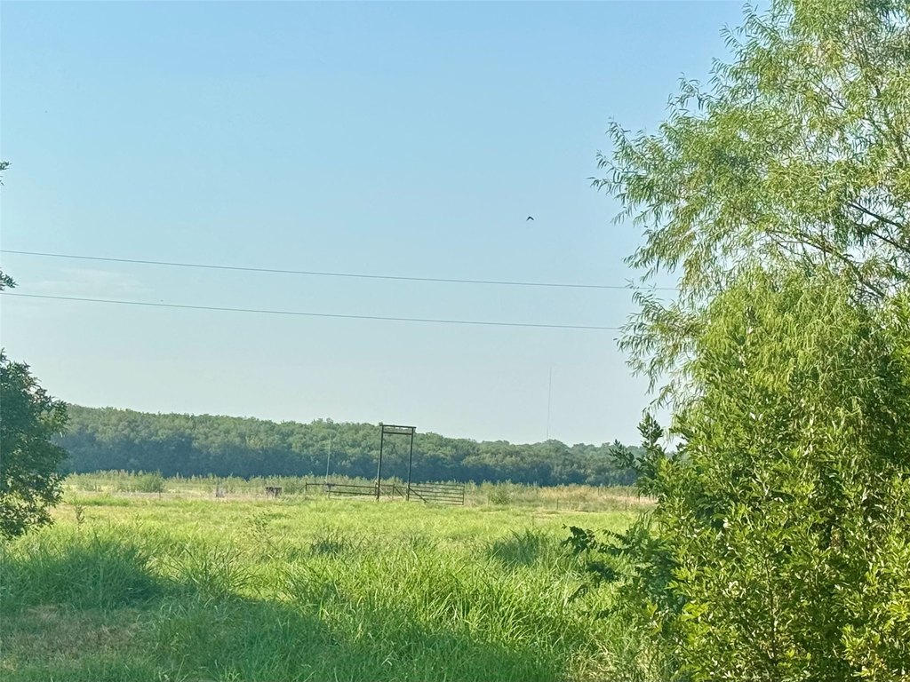 Picture 18