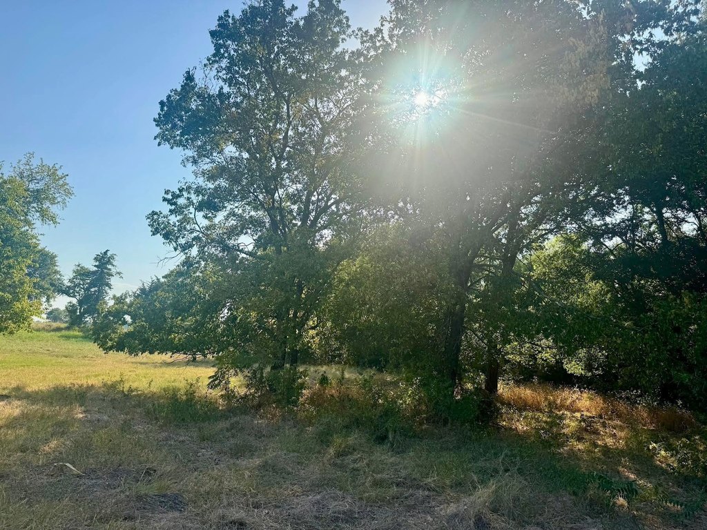 Picture 20