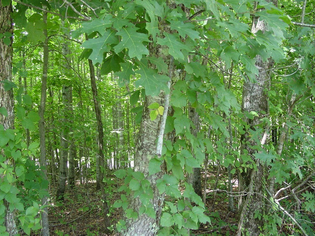 Picture 3