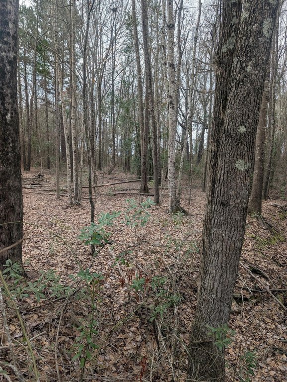 Picture 3