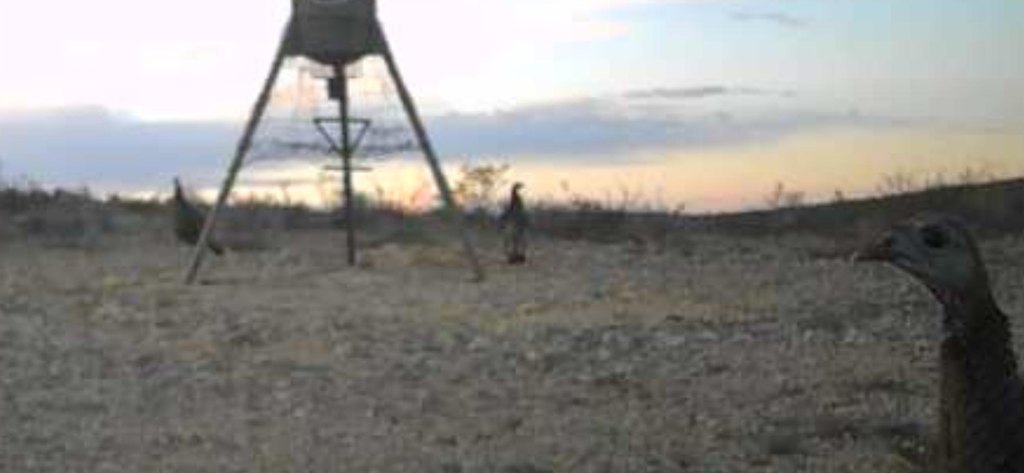 Picture 16