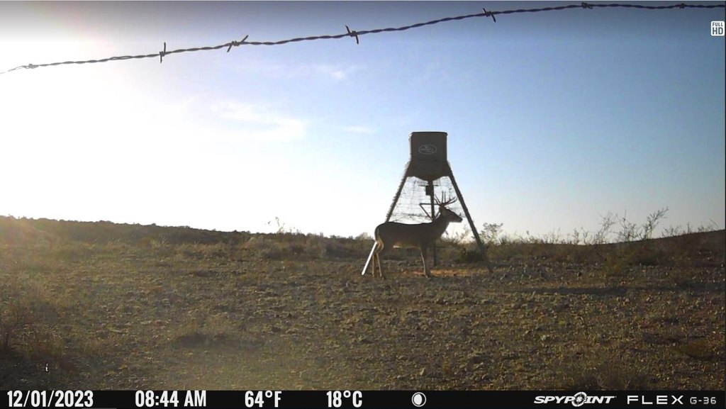 Picture 15