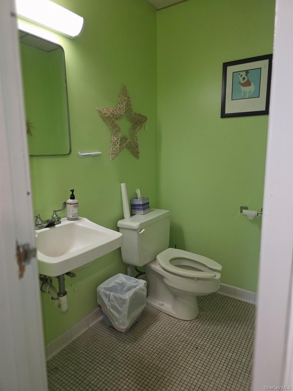 Picture 14