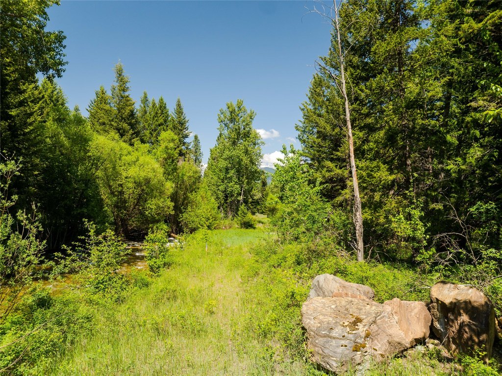 Picture 29