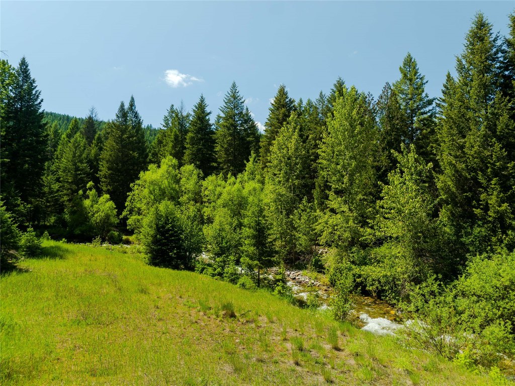 Picture 26