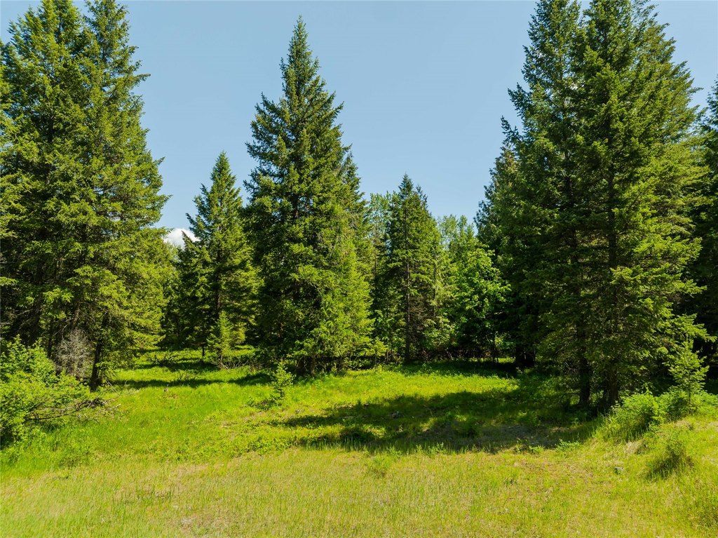 Picture 28