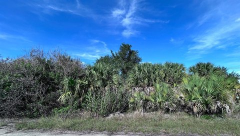 Residential Land Near RV Griffin