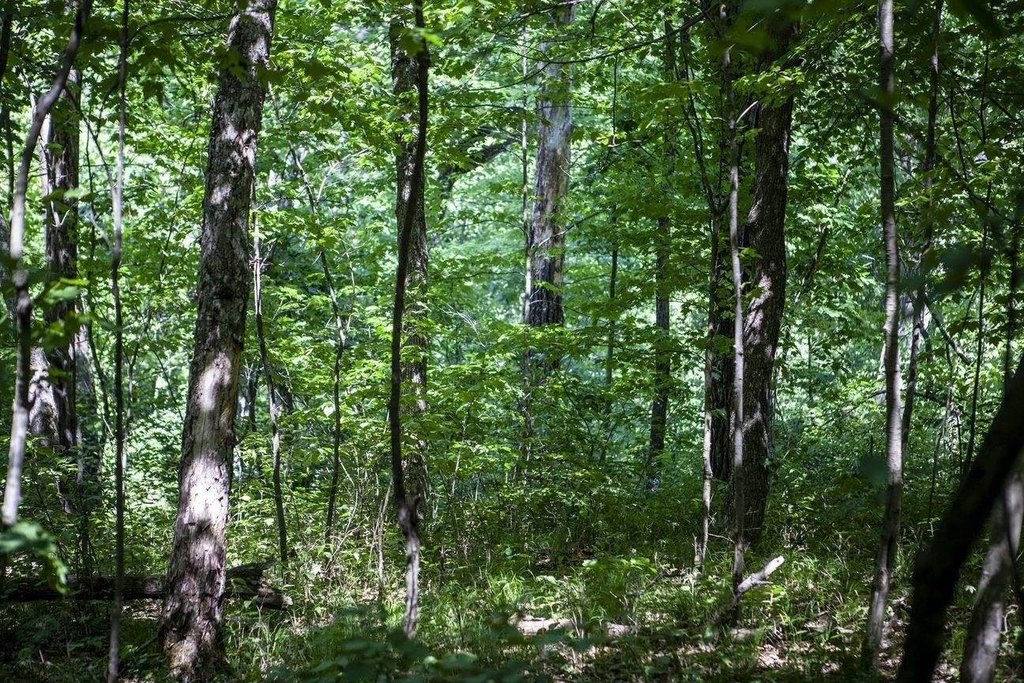 Picture 2