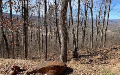 Young Harris Vacant Mountain Lot