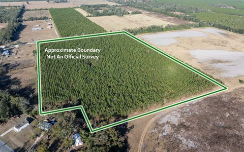 28.48 Acres in Live Oak