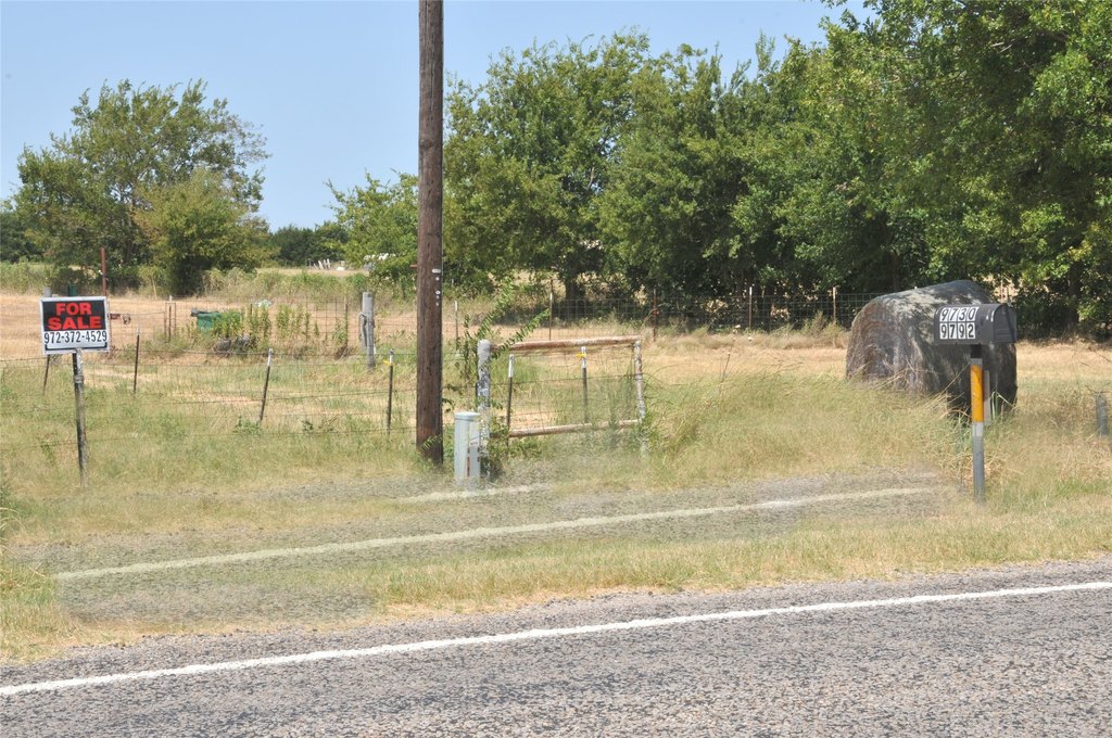 Picture 5