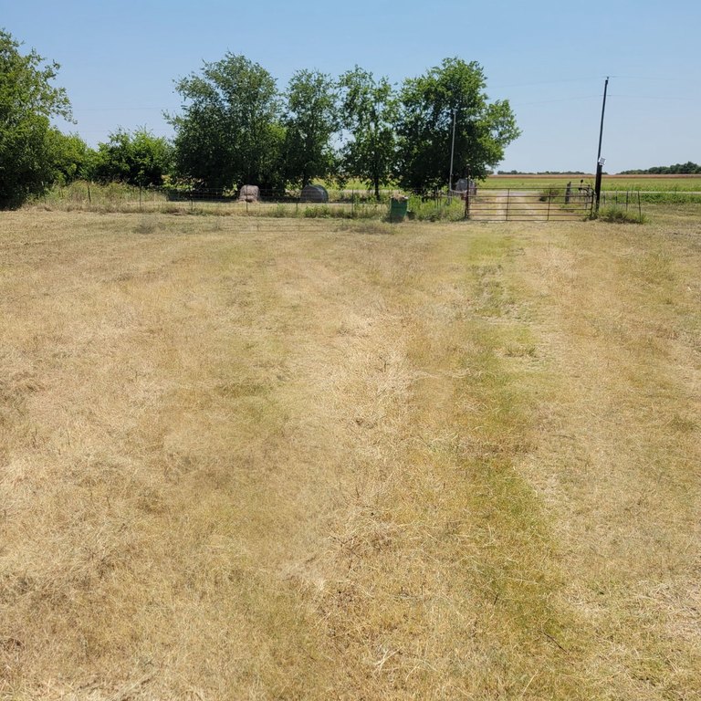 Picture 9