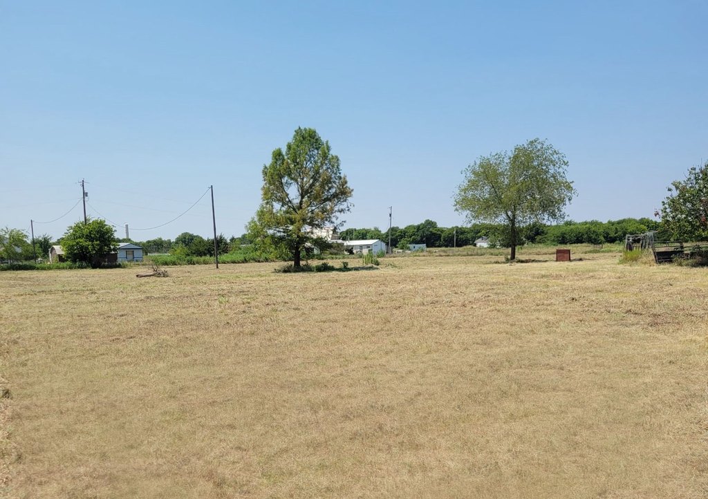 Picture 11