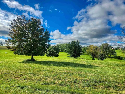 Lake Carroll Acreage with Mature Trees