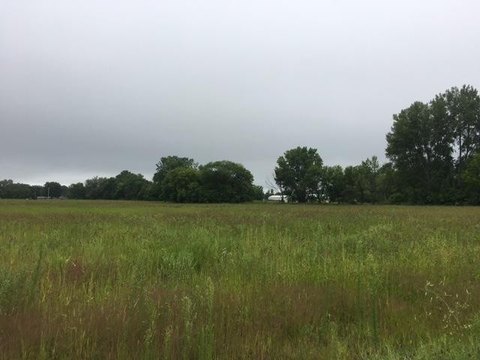 Level Development Land
