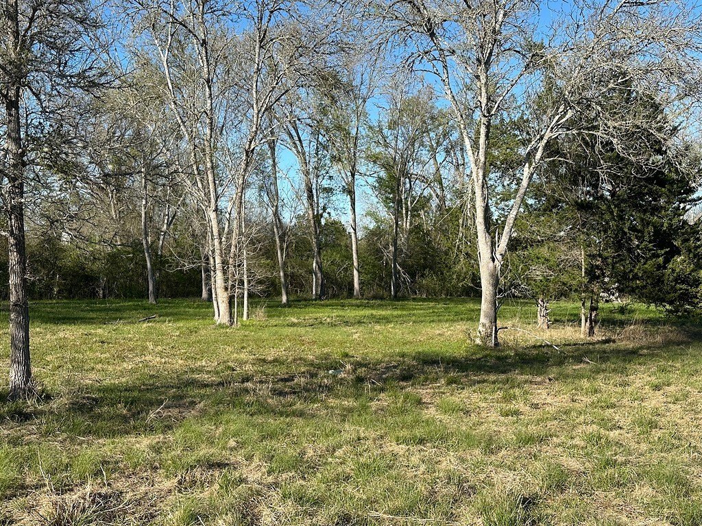 Picture 6