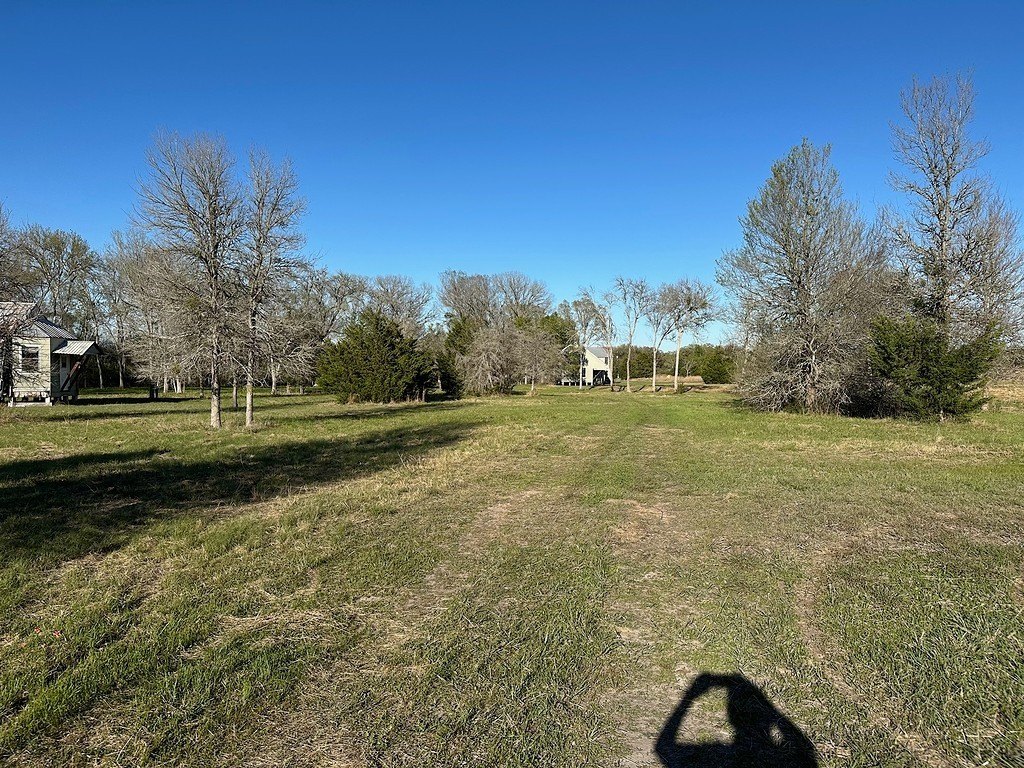 Picture 5