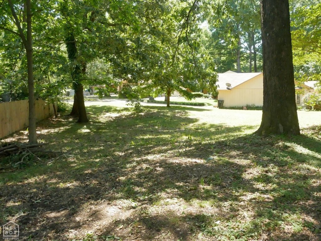 Picture 12