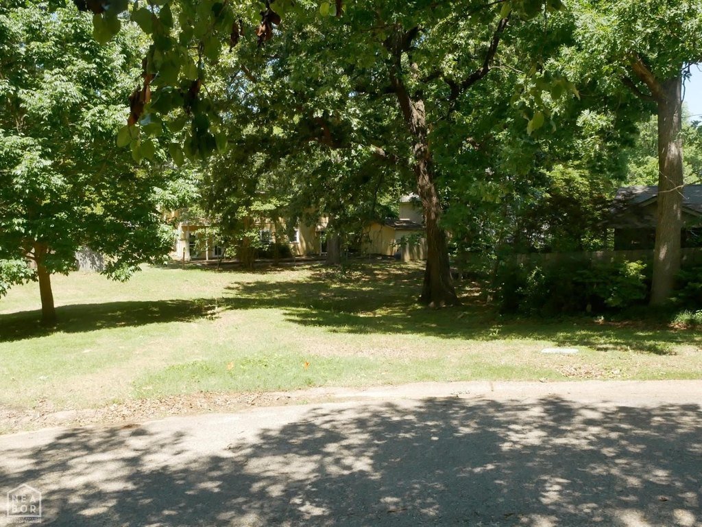 Picture 15
