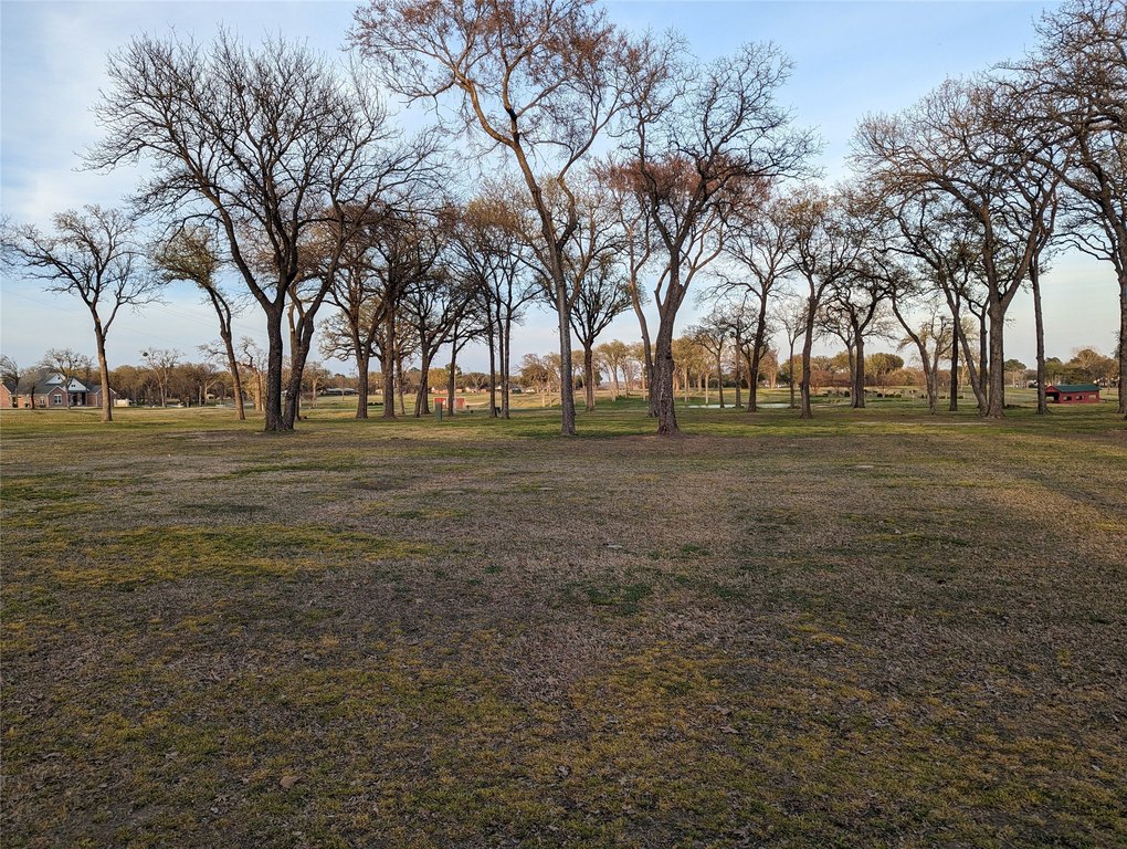 Picture 18