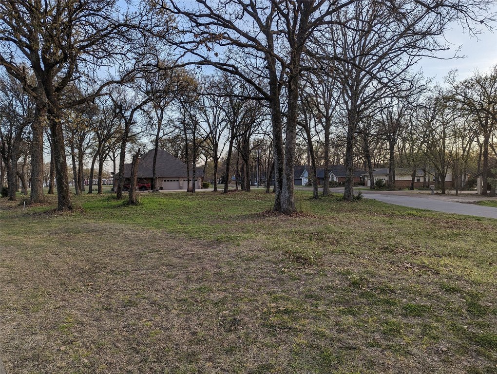 Picture 11