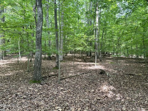 Land, Dandridge, TN