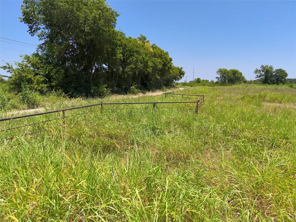 Picture 6