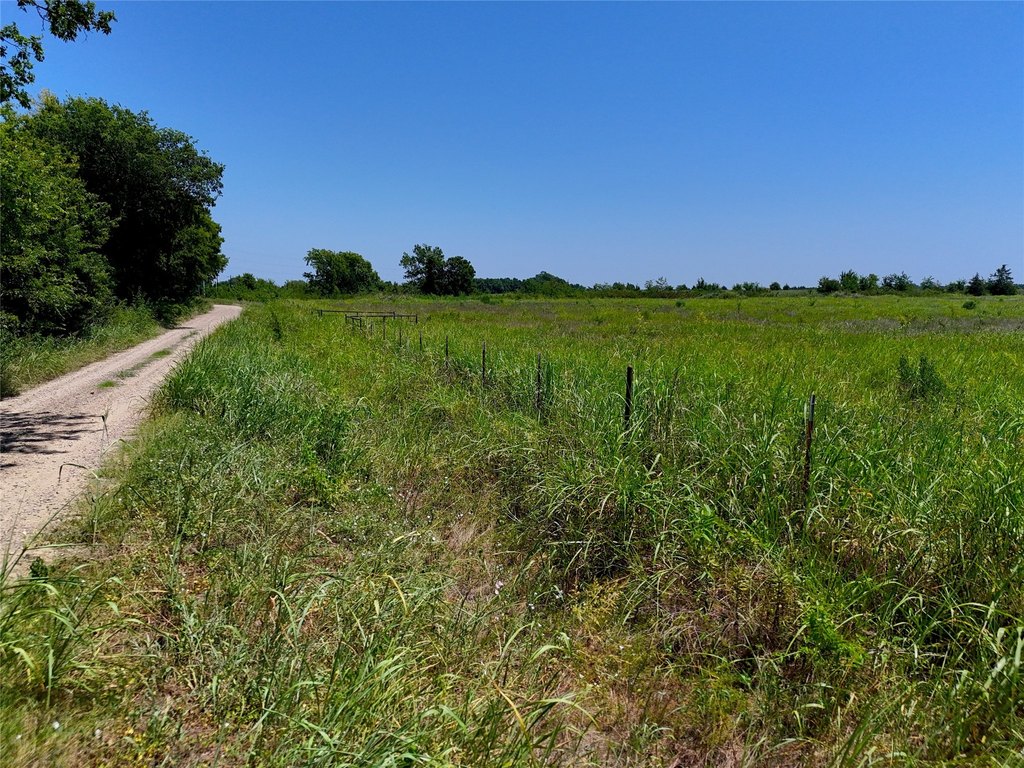 Picture 8