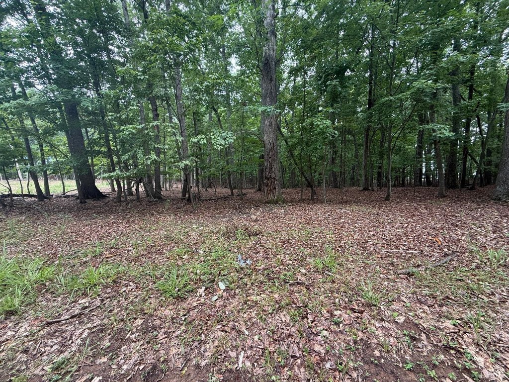 Picture 3