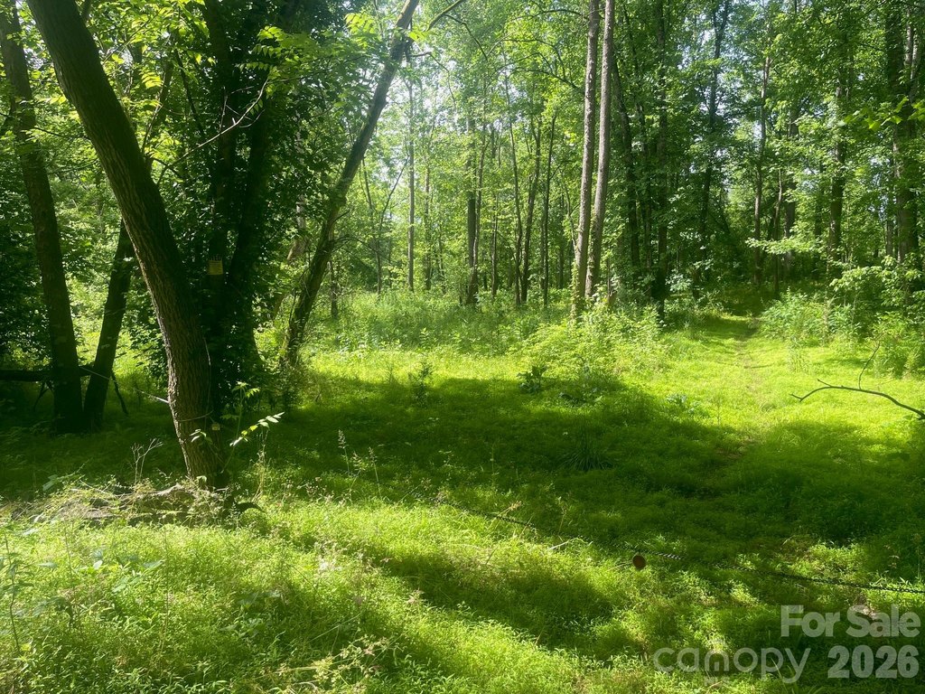 Picture 3