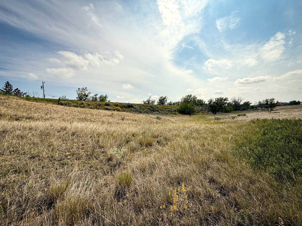 Picture 7