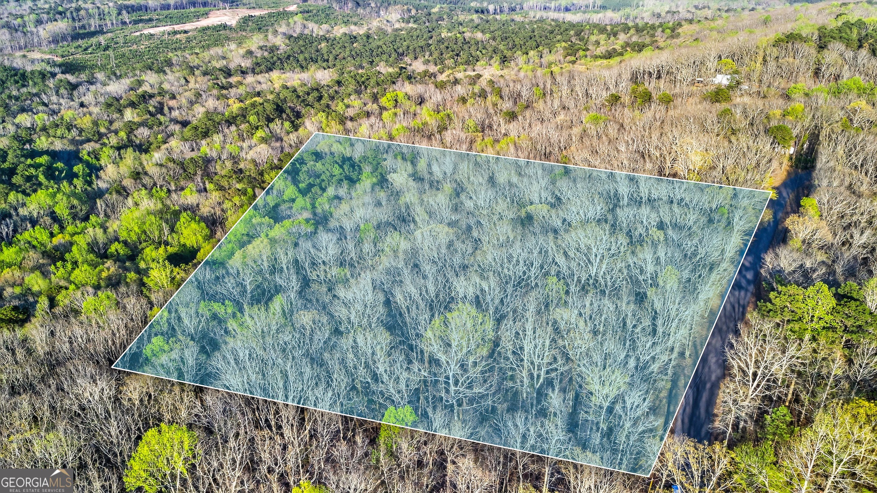Land with Mountain Views