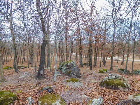 Land Near Blue Water