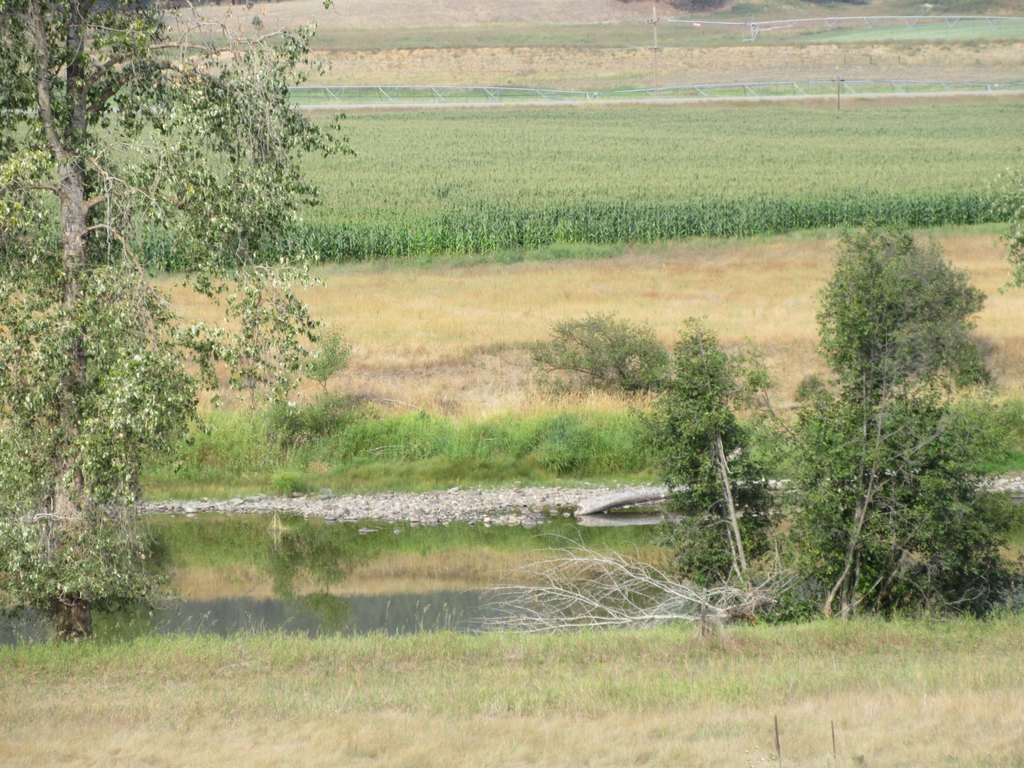 Picture 6