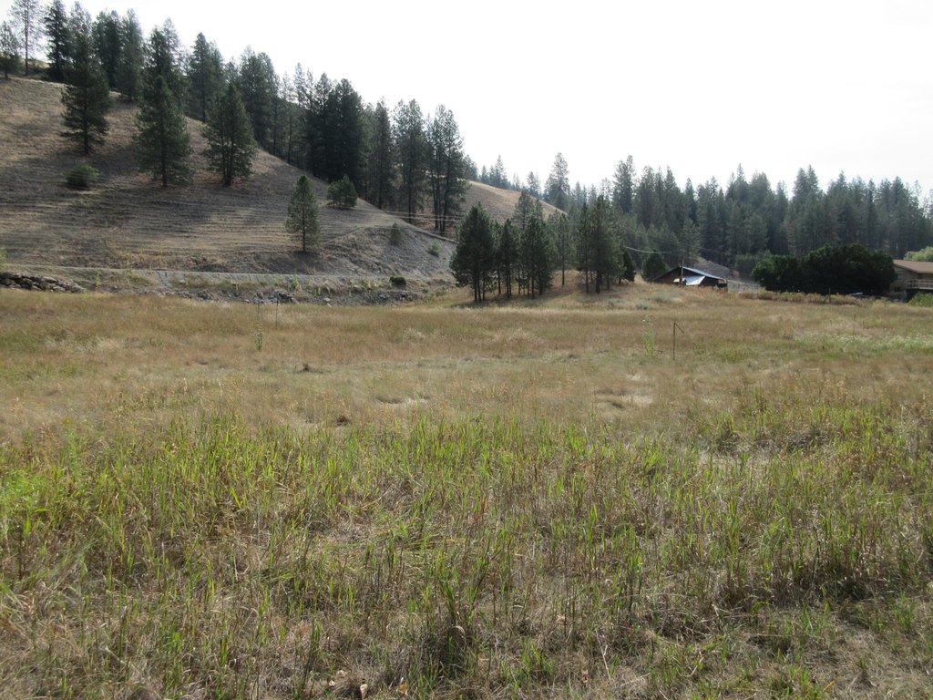 Picture 10