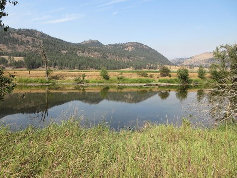 Land, CURLEW, WA